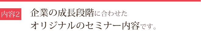 企業の成長段階に合わせたオリジナルのセミナー内容です。